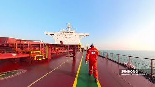 SUNDONG  handling the capesize bulk carrier entering the port [upl. by Nyrmak660]