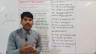 excretion and nervous system in class Bivalvia Zoology Miller Harley ADS BSC BS Urdu [upl. by Icak889]