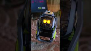 Standard commands not working ai robot vector shorts shortvideo viralvideo video [upl. by Plantagenet963]