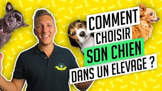 Comment choisir son chien dans un élevage  Conseils EDUC DOG [upl. by Ervine863]