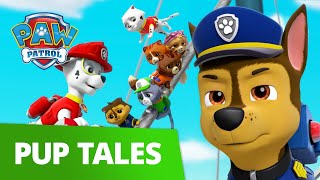 PAW Patrol  Pups Save The Kitty Rescue Crew  Rescue Episode  PAW Patrol Official amp Friends [upl. by Llenyr]