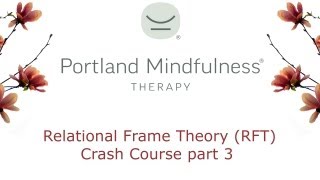 Relational Frame Theory RFT crash course pt 3 [upl. by Eus]