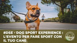 DSE  Dog Sport Experience  levento per fare sport con il tuo cane [upl. by Nywloc]