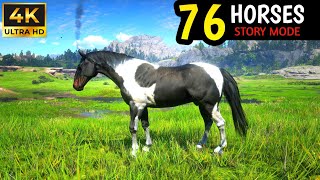 All 76 Unique amp Rare Horses Showcase In RDR2  4K RTX 4090 [upl. by Minica]