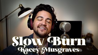 Slow Burn  Kacey Musgraves Isaiah Dominguez Cover [upl. by Aileduab]