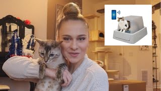 The new PetSafe ScoopFree® Smart SelfCleaning Litter Box [upl. by Thapa]