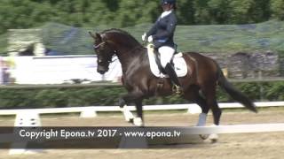 Falsterbo Horse Show warm up arena  2017 [upl. by Anoif]