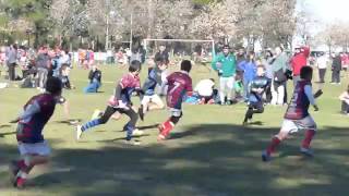 Rugby Universitario Rosario M10  26 Provincial 10062017 [upl. by Worrell54]