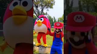 Mario dan angry bird [upl. by Ardnasac]