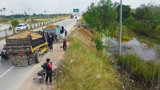 Amazing Beautiful New Project Expert Bulldozer Pushing Land Move to water ampDamp truck 25t [upl. by Bore106]