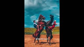 Hippotherapy Horse riding horsevideo horseride horserider horses horse funny sporthorses [upl. by Fia826]