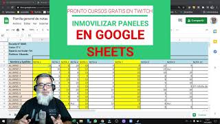 Cómo inmovilizar filas y columnas Paneles en Google Sheets [upl. by Grethel438]