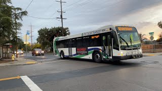 Tri Delta Transit’s 383 Eastbound To Blue Goose Park Passing By O’Hara Ave In my Hometown In 4K [upl. by Yurik]