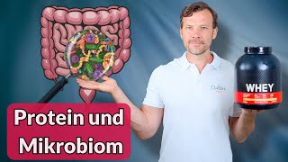 Protein und Darmflora Wie beeinflusst es deine Gesundheit [upl. by Athelstan]