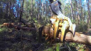 Tigercat LS855C shovel logger with feller director boom [upl. by Pirri]