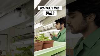 My experiment with Plant DNA 🧬  Tamil Scientist in Germany scienceexperiment tamilsciencechannel [upl. by Aivonas]