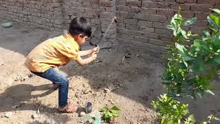 ibrahim ne garden main khodai ker dali [upl. by Indihar362]