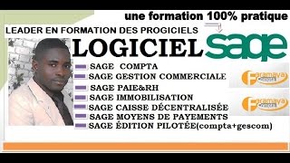 SAGE 100 GESTION COMMERCIALE Remise Supplémentaire sur Article [upl. by Huldah]