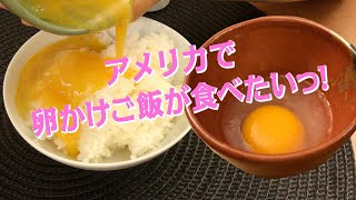 アメリカで卵かけご飯が食べたいっ！生卵を手に入れる [upl. by Hulton]