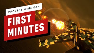 Project Wingman The First 14 Minutes [upl. by Alessandro141]