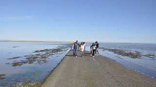 Lindisfarne Holy Island Causeway Tide Timelapse [upl. by Sonitnatsnok]