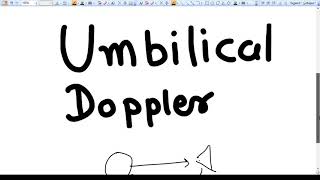 Umbilical Artery Doppler  The Gynecology Professor [upl. by Dualc195]