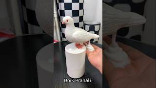 🤮दीदी ने चेहरे पर Potty💩लगाया🤣कबूतर के पिछवाड़े से निकला Cream🤪 funny shorts [upl. by Macilroy]