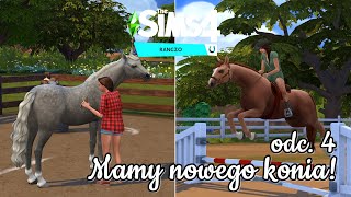 Koniara 4 🐴 Nowy koń amp kowbojskie tańce 🤠 RANCZO The Sims 4 [upl. by Etnohc]