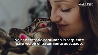 ✅ Qué hacer ante una NORDEDURA de SERPIENTE venenosa  Salud180 🌿 [upl. by Nyla509]