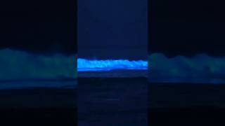 Bioluminescence  the enchanting glow of life science sciencefacts [upl. by Ail612]