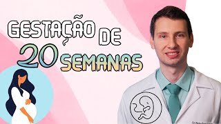 APRENDA GESTAÇÃO 20 SEMANAS COMO ESTÁ O BEBÊ E A MÃE [upl. by Kienan253]