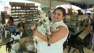 Preview Day at the Bloomsburg Fair [upl. by Naam805]