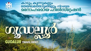 ഗൂഡല്ലൂർ  Gudalur  Gudalur Tourist Places  Ooty Tourist Places  Travel Video  MM Travel Guide [upl. by Ocsinarf378]