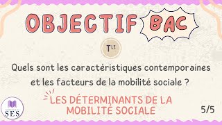 BAC Cours Mobilité Sociale  Les déterminants de la MS [upl. by Eldreda]