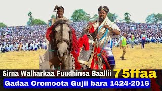 Kabajaa fi Jaalalaan Baallii waliif dabarsan Sirna Walharkaa fuudhinsa Baallii 75ffaa Gujii [upl. by Deron]