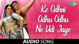 Ke Odhni Odhu Odhu Ne  Audio Song  ઓઢની ઓઢું ઓઢું ને ઊડી જાયે  Alka Yagnik  Paful Dave  Meru M [upl. by Ronoel151]