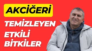 AKCİĞERİ TEMİZLEYEN BİTKİLER I AKCİĞER NASIL TEMİZLENİR I AKCİĞERE İYİ GELEN ÇAYLAR [upl. by Nyra]