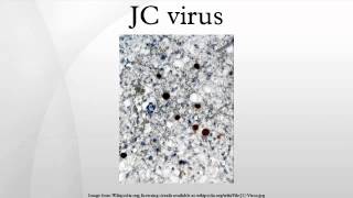 JC virus [upl. by Wardlaw]