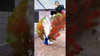 The Most Beautiful Peacock 🦚 shorts peocock birds birdslover birdsounds [upl. by Diver]