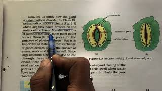 2 autotrophic nutrition class 10 biology life processes NCERT [upl. by Engle]