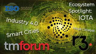 ISO20022 Ecosystem Spotlight IOTA  TMFORUM [upl. by Atiuqet793]