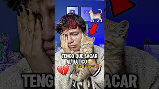 TENGO QUE SACAR AL GATICO😭 ESTA ES LA RAZÓN💔 shortsviral [upl. by Annoyed]