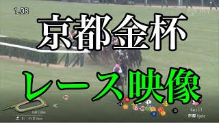 京都金杯2024 レース映像 [upl. by Madelle]