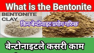 What is the Bentonite Bentonite केको लागि र केमा प्रयोग गरिन्छ [upl. by Cynthie]