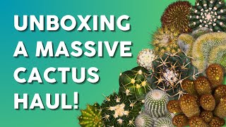 A Collectors Dream Unboxing Over 40 Unique Cacti 🌵 [upl. by Varuag]