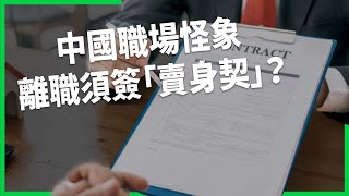 中國職場怪象離職須簽「賣身契」？拼多多「開競」前員工求償百萬鉅額！年輕人轉職「主動失蹤」造新身分拚第二人生？【TODAY 看世界】 [upl. by Asaph344]