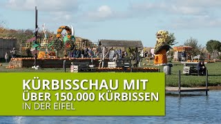 Kürbisschau mit über 150000 Kürbissen [upl. by Hein356]