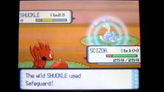 Shiny Shuckle 1 of 8 Chaining with the PokeRadar Pokemon Diamond [upl. by Nannerb]