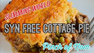 SYN FREE COTTAGE PIE  SLIMMING WORLD  PINCH OF NOM [upl. by Enneira]