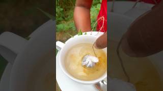 Bopf Tea  leaf to tea bag  Homemade [upl. by Adnorrahs666]